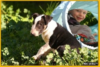 CHIOT